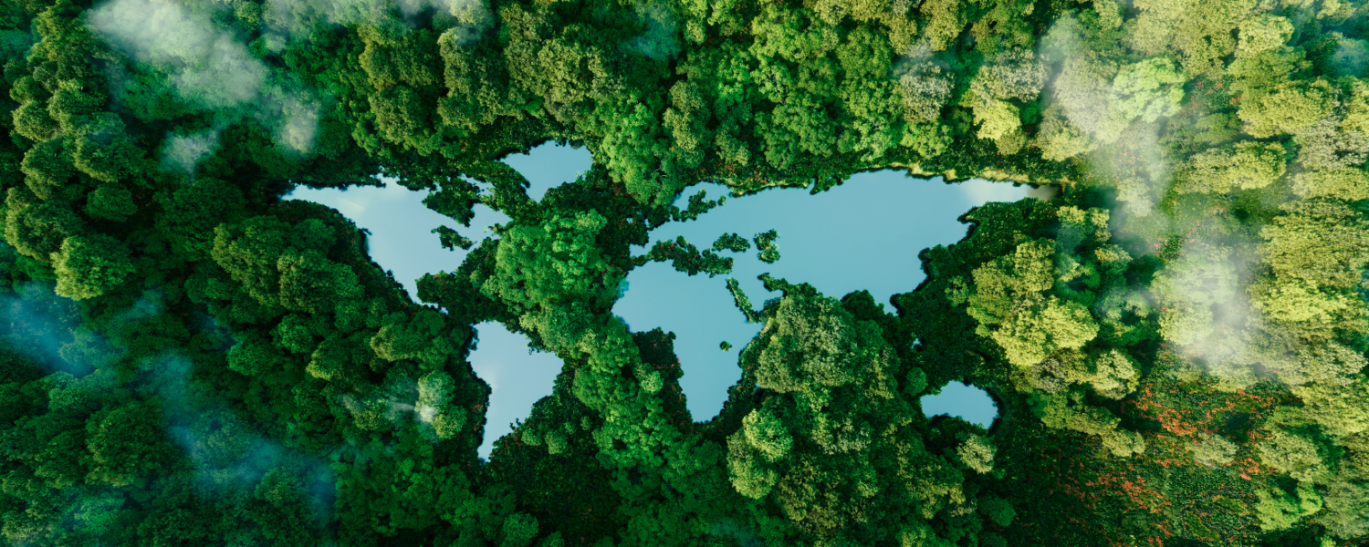 Image of the world map in water on the earth's surface
